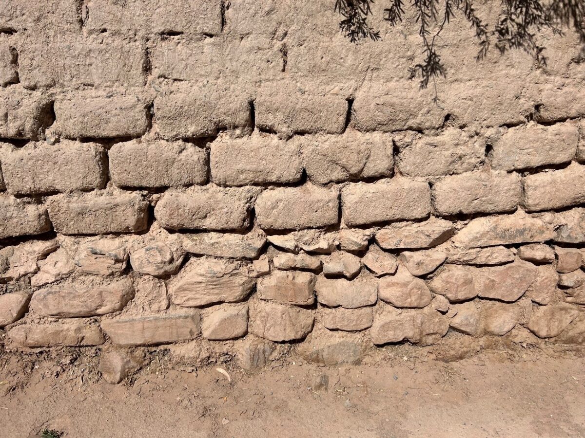 Patologías, causas, definiciones