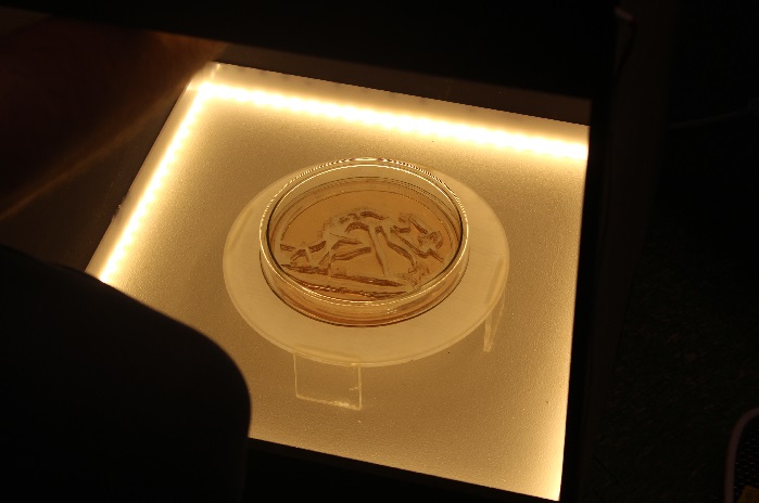 Una “Experiencia Mágica” en Colonia