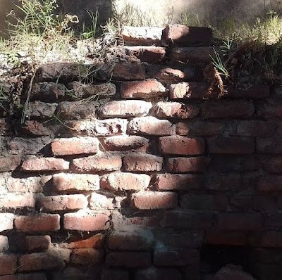 ALGUNOS ANTECEDENTES DEL CASO DE LA MANZANA DE SANTA CATALINA DE SIENA EN LA CIUDAD DE BUENOS AIRES (¿Qué ocurrió allá por el año 2012?)